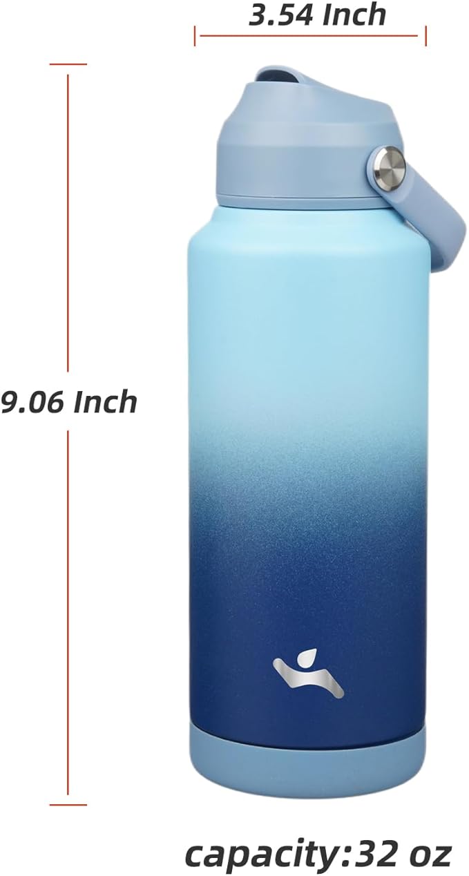Insulated Water Bottle with Straw Lid,32 oz Stainless Steel Vacuum Metal Bottle with Silicone Handle, Sky
