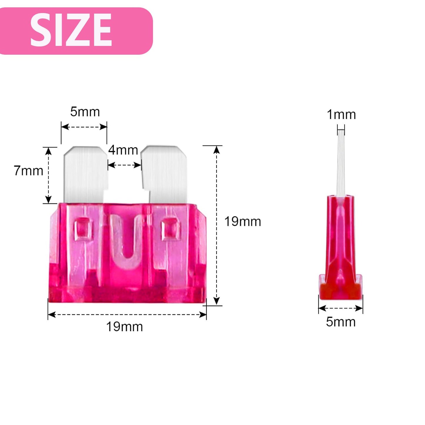 (80Pcs) 4 Amp Standard Fuse, 4A Car Blade Fuses for Car/RV/Truck/SUV/Motorcycle/Boat