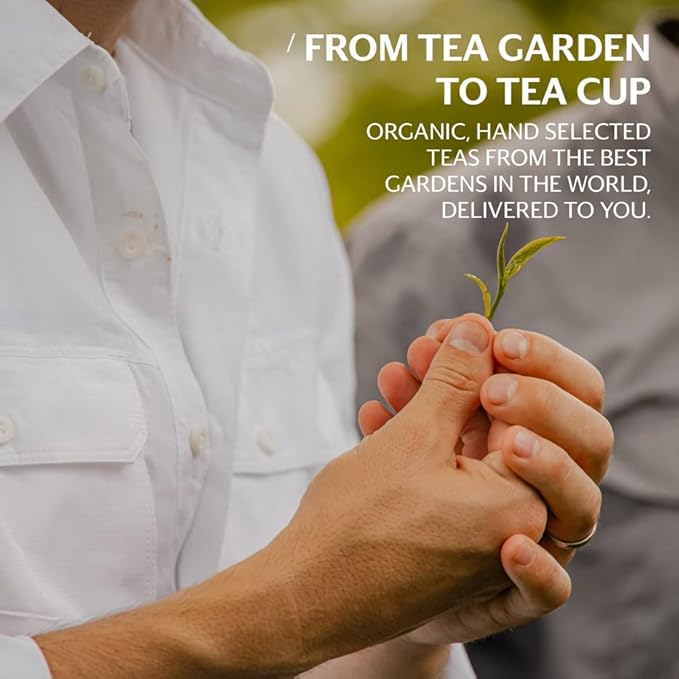 Grace Farms SETTLE Wellness Organic Tea Blend (100 Enveloped Pyramid Sachets w/ String & Tag) | Peppermint Cacao | Relaxing and Digestive Support | Fairtrade and Kosher | Filled With Antioxidants and Stress-Relieving Herbs | Gives Back 100% of Profits