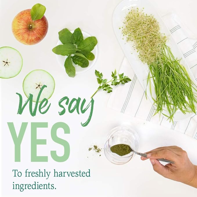 Garden of Life Super Greens Powder Smoothie & Mix, Probiotics & Digestive Enzymes for Digestive Health, Organic Superfoods Nutrition Fruit and Vegetables for Women & Men Energy, Original, 60 Servings