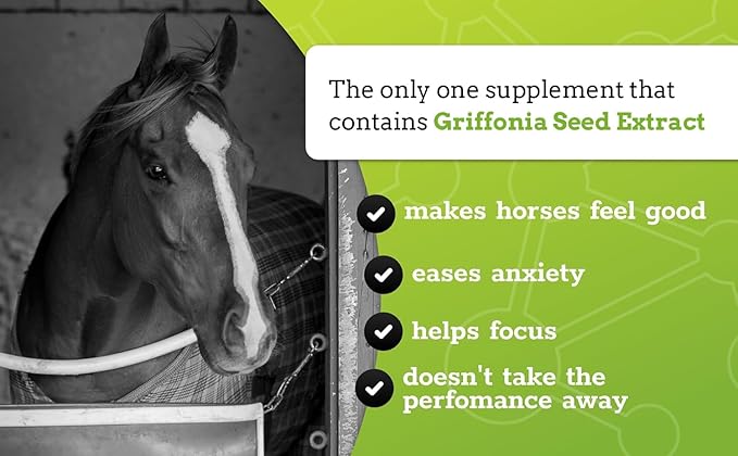 SynChill Oral Horse Calming Gel, 100% Natural & Nutritional Supplement, Lab Proven Results, Designed for Focus & Performance, Approved by Olympic Professionals & Veterinarians, Made in USA - 3-Pack
