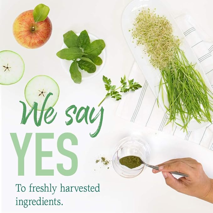 Garden of Life Raw Organic Perfect Food Green Superfood Juiced Greens Powder - Original Stevia-Free, 30 Servings, Non-GMO, Gluten Free Whole Food Dietary Supplement, Alkalize, Detoxify, Energize