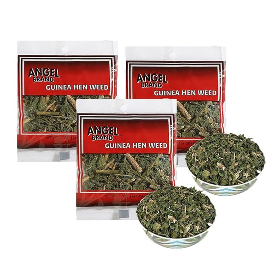 Angel Brand Guinea Hen leaves Tea – 0.5 oz Pouch Pack of 3 Sourced From Lush Tropics, Discover Potent & Versatile Qualities of Our Premium Anamu Plant - Famous for Its Health Benefits