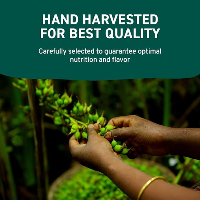 HANDPICK Green Cardamom Pods (57g / 2oz) Large size Green Elaichi | Pure, Non-GMO, Gluten Free | 100% Raw from India | Resealable Zip Lock Pouch