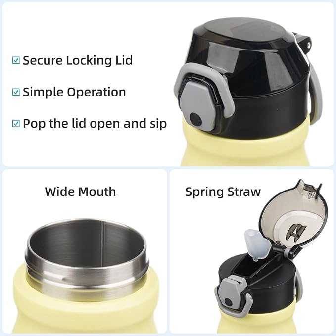 Insulated Water Bottle with Straw and Carry Loop,18 oz Stainless Steel Double Wall Vaccum Metal Water Flask with Leak-proof Lid,Lime