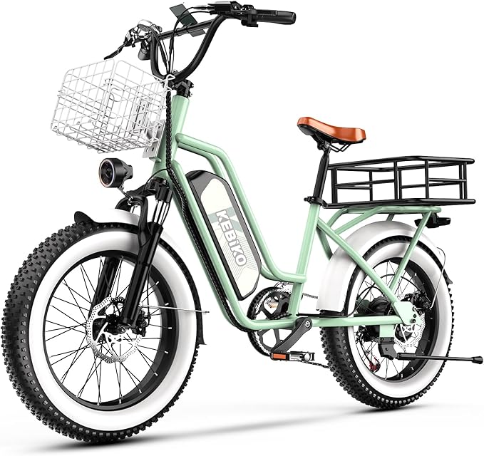 1500W Electric Bike for Adults,48V 20/60Ah Removable Battery Max Range 80Miles & 30MPH Electric Bicycle,20''×4" Fat Tire Ebike,Adult Electric Bicycles for Commute Beach Snow,E-Bike UL Certified