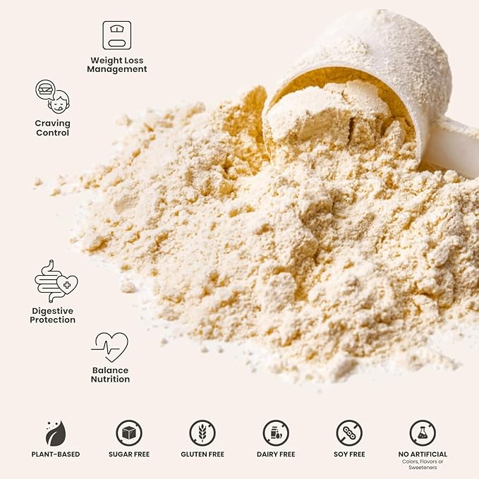 310 Nutrition - Vegan Organic Plant Powder and Meal Replacement Shake - Gluten, Dairy, and Soy Free - Keto and Paleo Friendly - 0 Grams of Sugar - Pumpkin Spice - 14 Servings