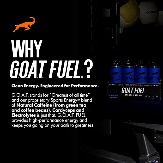 G.O.A.T. Fuel Energy Drink, Co-Founded by Jerry Rice, Natural Caffeine, Electrolytes, BCAAs, Cordyceps Mushrooms & Antioxidants, Light Carbonation Pre Workout, 12 Pack, 12 FL Oz, Blueberry Lemonade