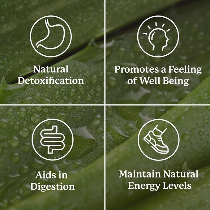 Nature's Sunshine Lower Bowel Stimulator - Helps Relieve Constipation - Cleanse & Detox Your Colon with Natural Herbal Ingredients - 25 Servings - 100 Vegcaps