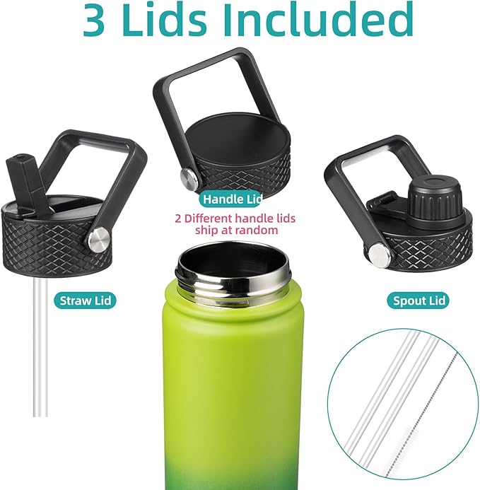 22oz Stainless Steel Bottles with 3 Lids Sport Insulated Water Bottle,Bamboo Grove