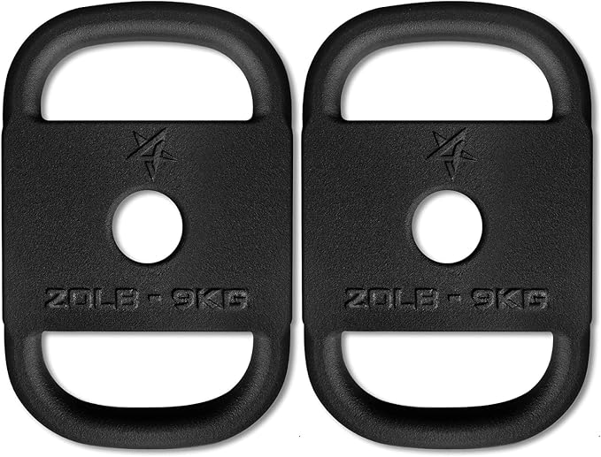 Yes4All US Design Patented Cast Iron Ruck Weight & Weight Plate for Strength Training, Fitness Workout - 20LB, Upgraded, Rounded Handle, Smooth Edge