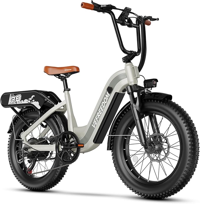 1500W Peak Motor Electric Bike for Adults Up to 80 Miles 30MPH Dirt Ebike 20" x 4 Fat Tire 48V 20Ah Removable Battery Mountain E Bike Commuter Full Suspension Bicycles for Men Women