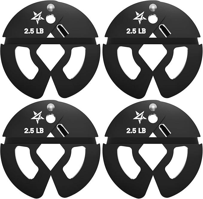 Yes4All Fractional Weight Plates Set, Available In Steel And Rubber, Set of 2/4/6 Plates in 1.25LB, 2.5LB, or 5LB Sizes, Micro Change Plates for Dumbbell and Olympic Barbell Weightlifting