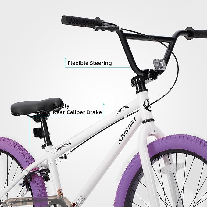 JOYSTAR Brockway Freestyle Kids BMX Bikes 20" 24" Kids Bicycles for 6-14 Years Old Boys Girls and Beginner-Level Riders 2 Pegs Multiple Colors