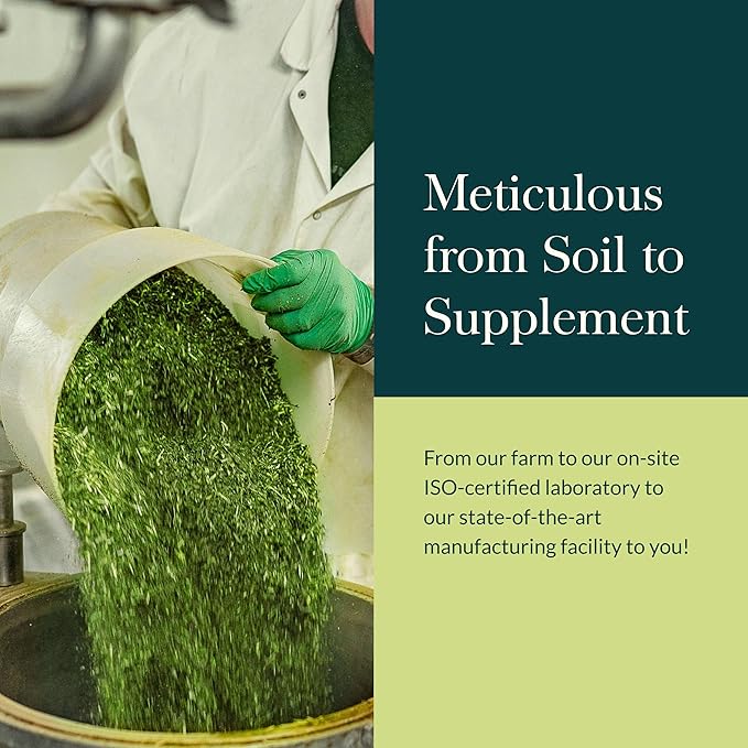 Gaia Herbs Thyroid Support - Made with Ashwagandha, Kelp, Brown Seaweed, and Schisandra to Support Healthy Metabolic Balance and Overall Well-Being - 120 Vegan Liquid Phyto-Capsules (40-Day Supply)
