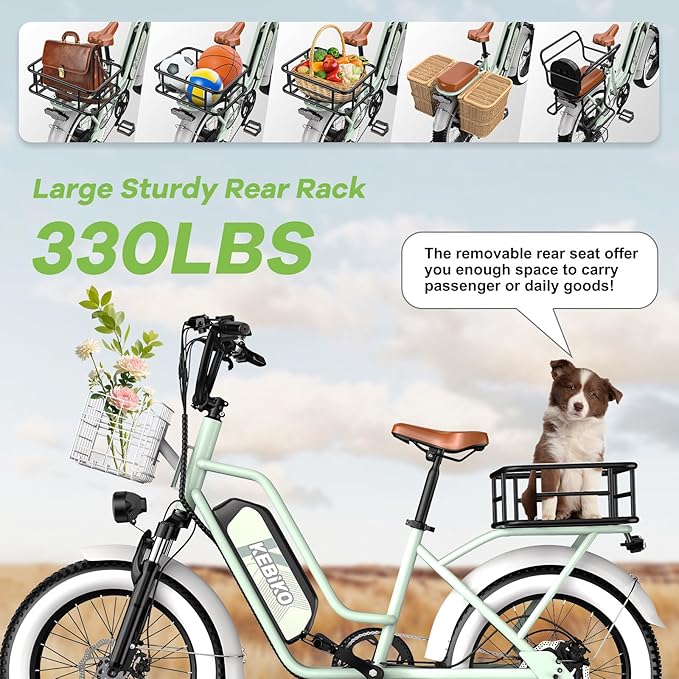 Electric Bike for Adults, 20"x 4" Fat Tire 35MPH Ebike, 1450W Peak Mountain Bike with 48V 20AH Removable 960WH Battery, 80 Miles Max Range Hydraulic/Mechanical Disc Brake 7-Speed Electric Bicycle