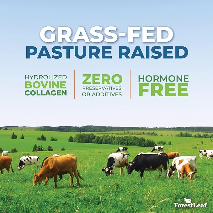 Collagen Peptides Powder Unflavored - Hydrolyzed Collagen Protein Powder Type 1, 2 & 3 - Grass Fed Keto Collagen Powder for Women & Men - Vital Hair, Skin, Nails, Joints, Recovery, 11g Per Serving