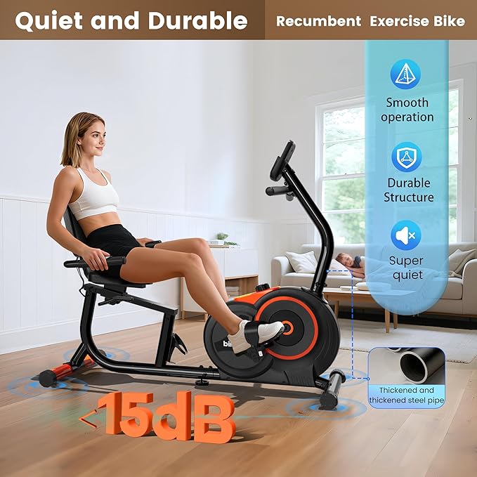 Recumbent Exercise Bike for Home,Recumbent Stationary Bikes for Adults & Seniors,Load Capacity of 400 pounds,Equipped with 16 Adjustable Gears, and Soft Adjustable Seats