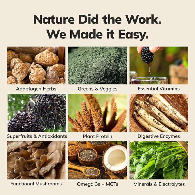 Ka’Chava Whole Body Meal Shake Chocolate 2 lb – Vegan Protein Powder with 85+ Superfoods & Greens – Plant-Based Meal Replacement with Probiotics & Digestive Enzymes – Gluten & Dairy Free (15 Servings)