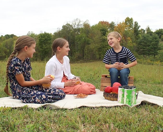 Kauffman Orchards Sparkling Apple Cider, 12 oz. Can (Pack of 24)