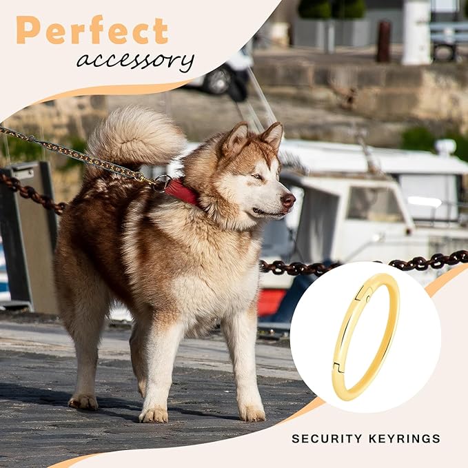 12Pack 2" Large Round Carabiner Clips, Metal Spring O Rings for Organizer Key Rings, Paracord Keychain Lanyard, Pet Chains, Purse Hardware, Key Snap Hooks DIY Accessory (Assorted)