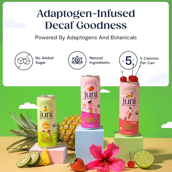 Juni Sparkling Adaptogen Drink with Ashwagandha, Lion’s Mane & Reishi Mushrooms | Green Tea for Focus, Zero Sugar, 5 Calories | Decaffeinated, Non Alcoholic Drinks - Strawberry Hibiscus 12 pack