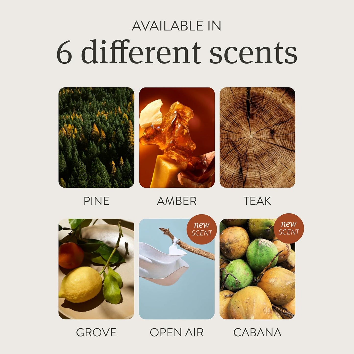 Drift Car Air Freshener - Stone Air Freshener - Car Odor Eliminator - Grove Scent Starter Kit