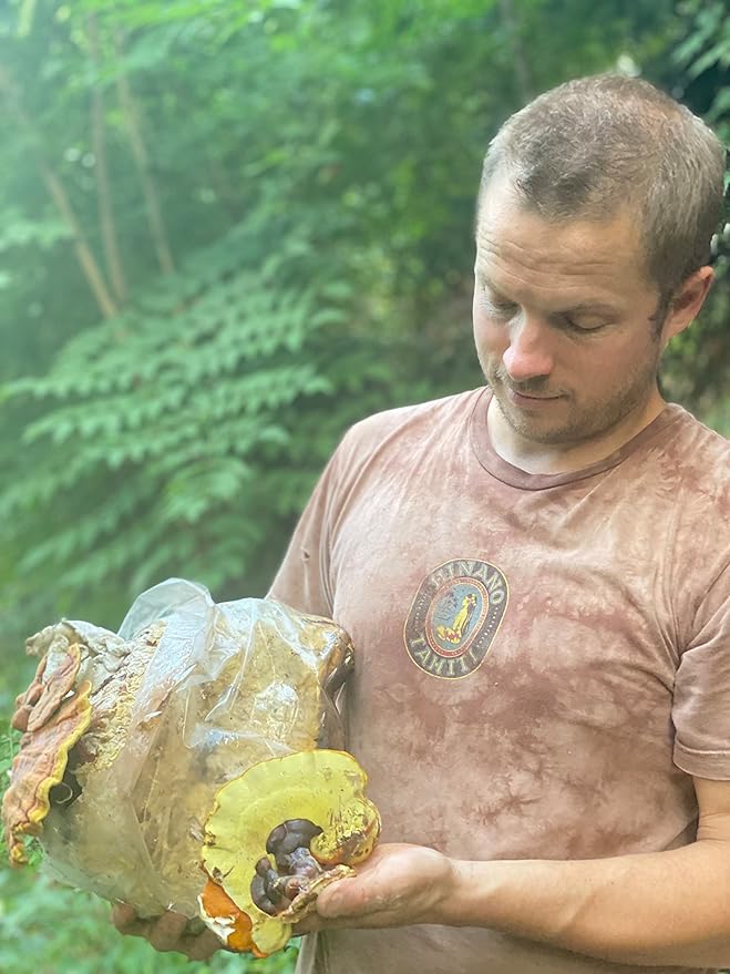 Hodgins Harvest Reishi + Turkey Tail Tincture | Made with Mushrooms Grown On Our Farm in The USA | Dual Extract | Extra-Concentrated (4 fl oz)