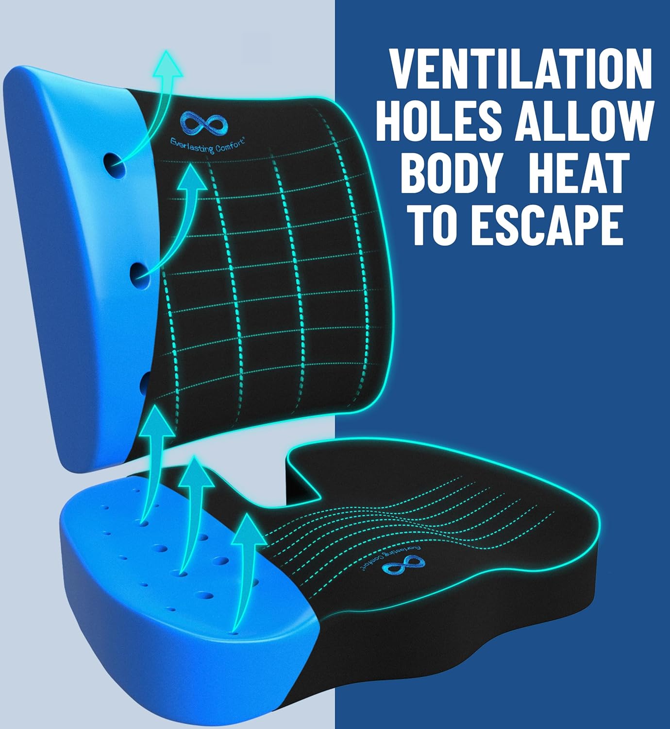 Everlasting Comfort Doctor Recommended Memory Foam Seat Cushion for Office Chairs & Car Seat - Ergonomic Office Desk Accessories for Tailbone Pain Relief, Sciatica & Back Support