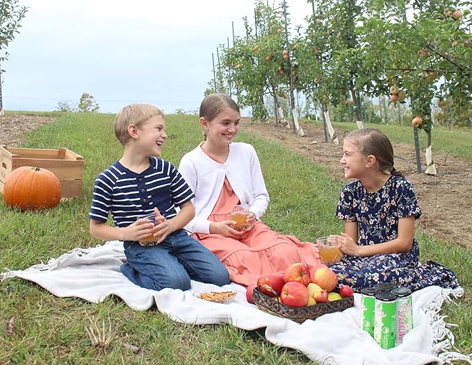 Kauffman Orchards Sparkling Apple Cider, 12 oz. Can (Pack of 24)