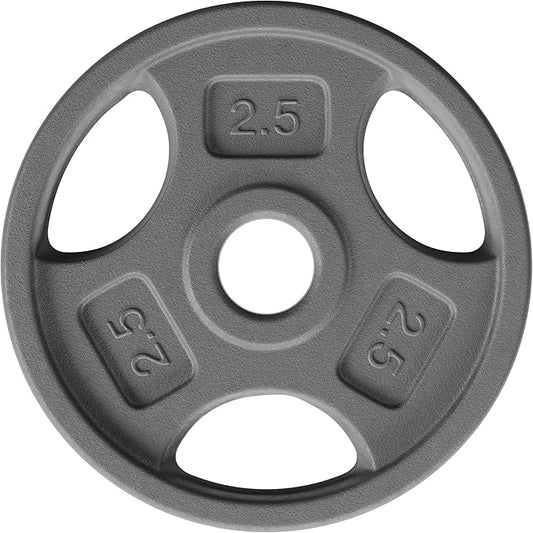 Yes4All Standard 1-Inch Grip Weight Plates, Cast Iron with Multiple Sizes from 2.5 lb to 35 lb for Strength Training, Weightlifting & Muscle Toning